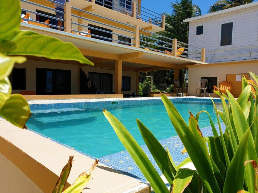 Beach Club Budget Rooms At Popeyes 키코커 외부 사진
